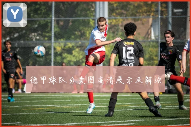德甲球队分类图高清展示及解读