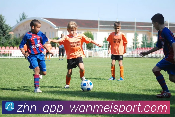 完美体育平台生态图