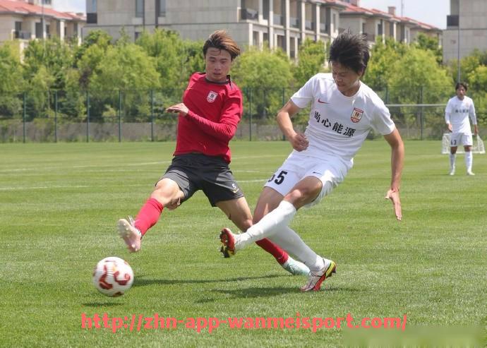 完美体育官方入口-资本与市场交织下的2015法甲球队身价与影响力深度解析